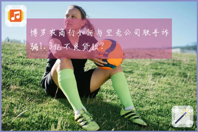 博罗农商行如何与空壳公司联手诈骗1.3亿不良贷款？